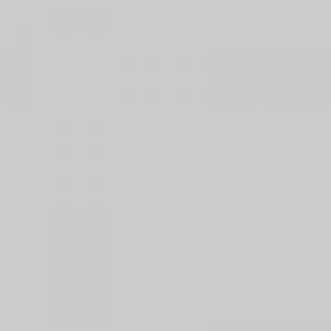 Light Grey 1707 C